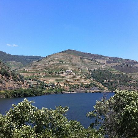 Quinta Da Marka Covas do Douro Экстерьер фото