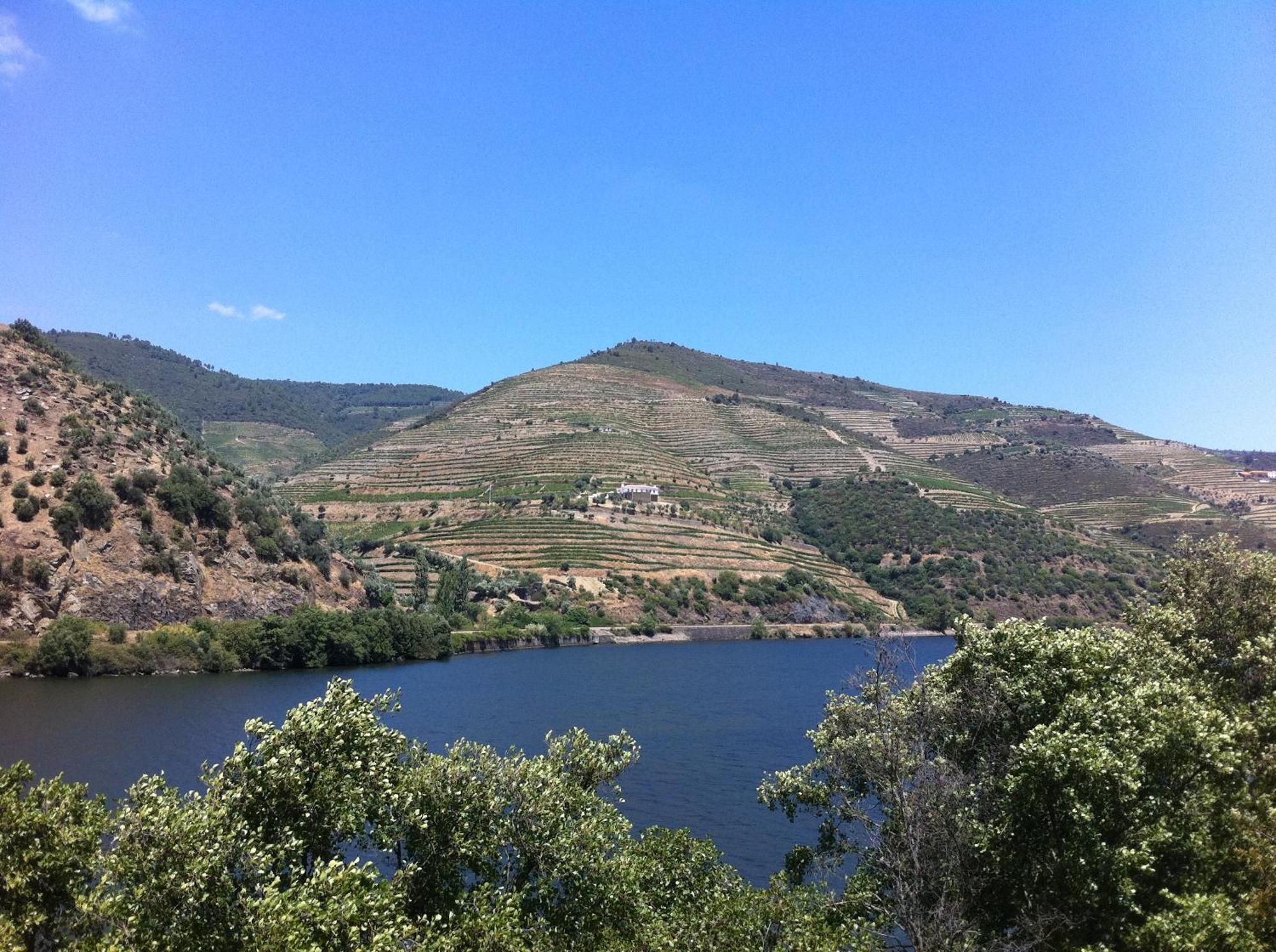 Quinta Da Marka Covas do Douro Экстерьер фото